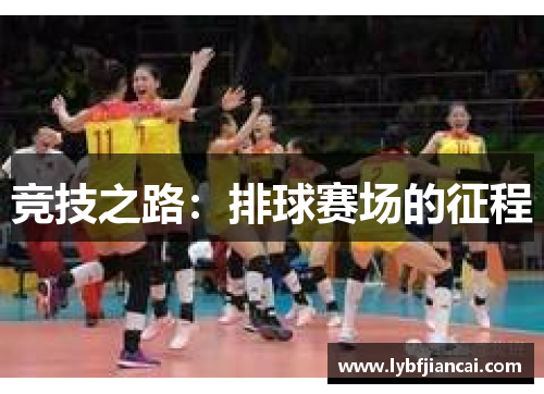 竞技之路：排球赛场的征程