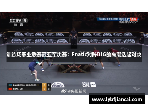 训练场职业联赛冠亚军决赛：Fnatic对阵BIG的高潮迭起对决