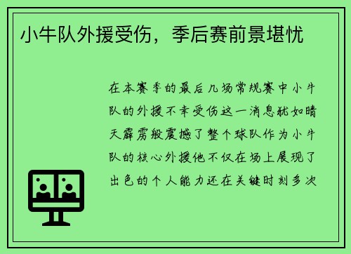 小牛队外援受伤，季后赛前景堪忧