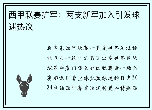 西甲联赛扩军：两支新军加入引发球迷热议