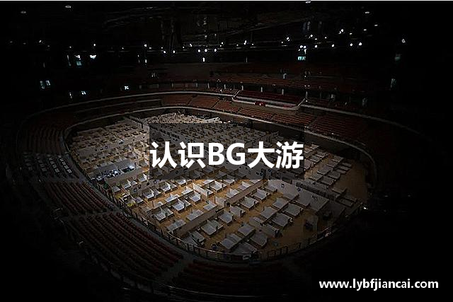 认识BG大游